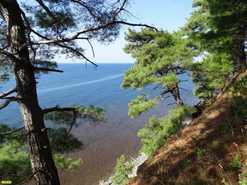 Берег Чёрного моря в районе посёлка 6-я Дача